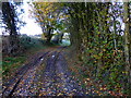 Bridleway reaches road east of Telegraph Lane