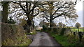 Road past Shobdon Barn