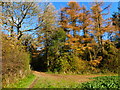 Changing colours on the downs