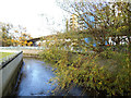 River Ravensbourne above Deptford Bridge