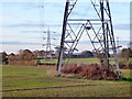 Lovedean - Fleet power line