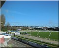 Traps set at Greyhound Stadium