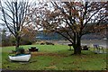 Picnic spot at the head of the Holy Loch