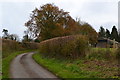 Lane towards Hinton Manor