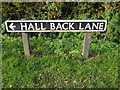 TG2504 : Hall Back Lane sign by Geographer
