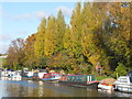 TQ1784 : Canal boats and autumn trees, Alperton by David Hawgood