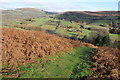 Path above Forest Coal Pit