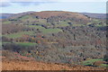 Gaer viewed from across the valley