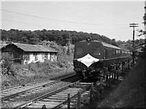 J4582 : Train approaching Helen's Bay station - 1983 by The Carlisle Kid