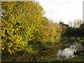 Pond, Park Farm Village Green