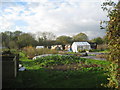 Allotments, Newtown