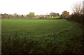 Field in the Frome valley