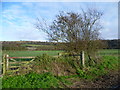 View from footpath near Silks Farm