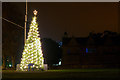 J5081 : Christmas Tree, Bangor by Rossographer