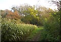 Frome Valley Walkway