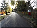 TG2303 : Caistor Lane & Caistor Hall Norwich Road Postbox by Geographer
