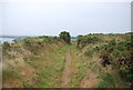 SR9996 : Wales Coast Path by N Chadwick