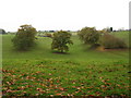 Farmland at Hayes Farm