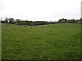 Farmland at Hill Brook Farm, Fishpool