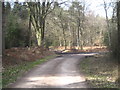 A bend in the track near Harbert