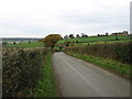 The lane to How Caple