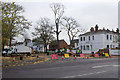 Tree felling in Beauchamp Avenue