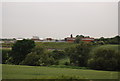 Sewage Works west of the M11