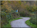 Cycleway and path at Watermead Country Park