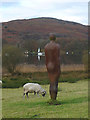 SD2989 : Antony Gormley statue at High Nibthwaite by Karl and Ali