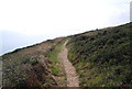 SS0497 : Pembrokeshire Coast Path by N Chadwick