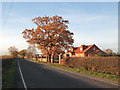 Houses on Tiltshills Lane