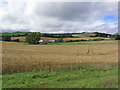 Buriton Farm & Pen Hill from South Downs Way