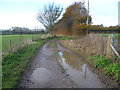 Footpath to Wye