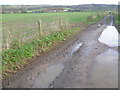 Footpath to Wye Downs