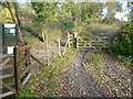 Path leading up to Wye National Nature Reserve