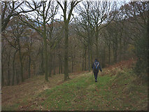 SD3092 : Path through Dales Wood by Karl and Ali