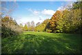 Autumn in Beckton Park