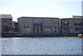 Millwall Docks