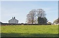 House and trees on Lyme Road