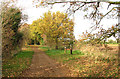 Autumn colours on Marriott