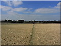 Walking on field path S of Aby, Lincs