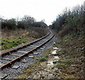 Track beyond the gate, Barry Tourist Railway