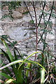 Benchmark on Court Farm house