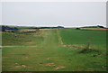 SR9995 : Pembrokeshire Coastal Path by N Chadwick
