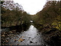 River Nidd from Burgess Bridge - Upstream