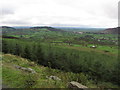 View S towards Forkhill from Slieve Gullion Forest Drive