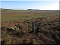 H1429 : Marker post on Ulster Way and view across blanket bog to Benaughlin by Colin Park
