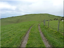 SN6497 : The Panorama Walk near Bwlch-y-llan by Richard Law