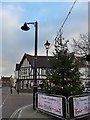 Christmas tree in The Square