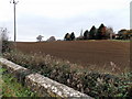 ST8179 : Bare field in Burton by Jaggery
